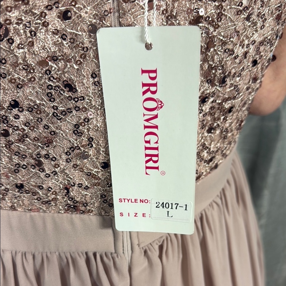 PromGirl Blush Maxi Dress with Sequin Detail Size Large - Picture 10 of 12
